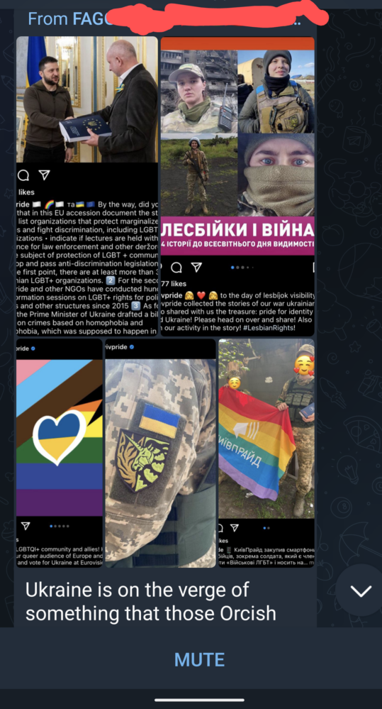 This account, as its partially revealed name shows, is dedicated to pointing out, and mocking, anything LGBTQ in Ukraine.